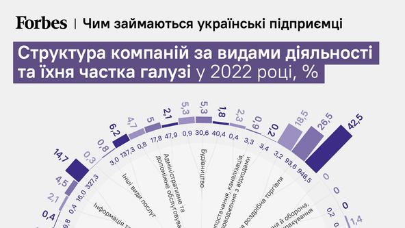 Чим займаються українські підприємці?