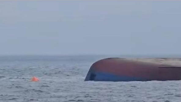 скриншот з відео