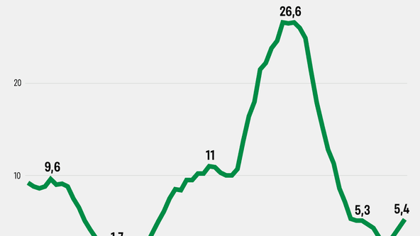 инфографика Анастасия Решетник
