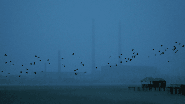 Сергій Коровайний, для ДТЕК