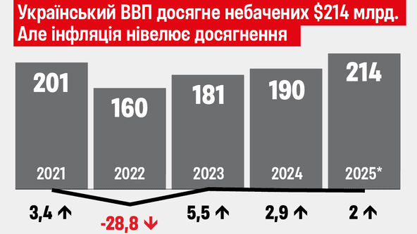 инфографика Алина Кохан