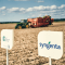 Syngenta /DR