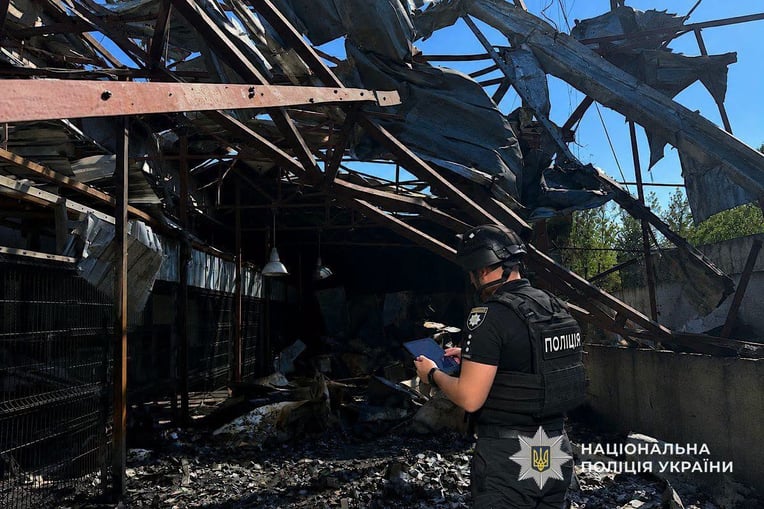 Національна поліція України