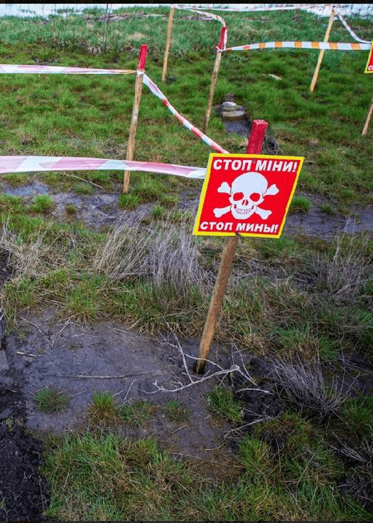 Humanitarian demining in Mykolaiv region, Vasylivka village. Photo courtesy The HALO Trust