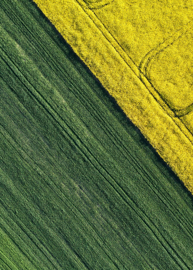 Фото: Shutterstock