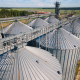 Дощі та відключення електроенергії загрожують врожаю кукурудзи в Україні – Bloomberg /Shutterstock