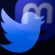 Засновники Twitter зареєструвались на Mastodon. До неї тікає все більше користувачів соцмережі Маска