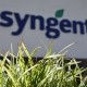 Syngenta відкликала заявку на IPO у Шанхаї. Розміщення акцій на $9 млрд могло стати найбільшим в Китаї за останні роки /Getty Images