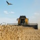 Украина в августе планирует запустить механизм минимальных цен для экспорта агропродукции /Getty Images