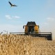 «Ставка на мирні переговори». Капіталізація агрокомпанії ІМК Петрова від початку року зросла на 15%, до рекордних за час війни $160 млн. Що живить упевненість інвесторів? /Фото Getty Images