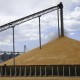 Правительство Словакии запретило импорт зерновых из Украины, транзит сохранило /Getty Images