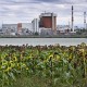 «Энергоатом» сообщил об отклонении от норм в работе одного из энергоблоков Южноукраинской АЭС. Аварию опровергает /Фото Getty Images
