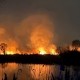 Пожежа на озері Тягле у Києві. /ГСЧС Украины