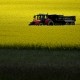 Земельная реформа. За два года в Украине продано 1% сельхозземель /Getty Images