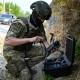 Міноборони придбало 4000 дронів через Prozorro, перші партії вже поставлені ЗСУ /Фото Getty Images