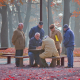 Солидарная пенсионная система умерла. Как Украине преодолеть проклятие страны пенсионеров /Фото Shutterstock