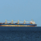 Украинский коридор. 200 судов экспортировали 7 млн т грузов из портов Большой Одессы