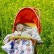 «Вплине на економічне зростання». Народжуваність у розвинених країнах знизилася вдвічі з 1960 року /Фото Getty Images
