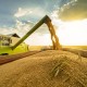 ЕС хочет увеличить сухопутный экспорт украинского зерна после выхода РФ из Черноморской инициативы /Shutterstock