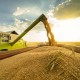 ЕС расширил квоты на импорт украинской агропродукции /Фото Shutterstock
