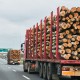 «Трагедия набирает обороты». Польша блокирует украинскую деревообработку из-за санкций против РФ. И это не единственная проблема. Как это может ударить по экспорту на $2,5 млрд. /Фото Shutterstock