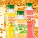 «Моршинська» випускає лимонад на основі соку і мінеральної води /предоставлено пресс-службой