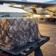 Maersk збільшила кількість авіаперевезень для скорочення часу транзиту вантажів /Фото пресцентр Maersk