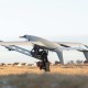 БПЛА Raybird /з сайту компанії Skyeton