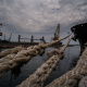 Провідний страховик Lloyd's готовий страхувати судна з українським зерном. На яких умовах це може працювати /Фото Getty Images