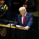 ООН Дональд Трамп /Getty Images