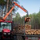 ДП «Ліси України» /предоставлено пресс-службой