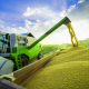 Українське зерно може стати преміальним та забезпечити додаткових $700 млн експортних надходжень. Як це зробити /Shutterstock