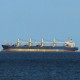 Український коридор. Із портів Великої Одеси у лютому експортували рекордні 8 млн т вантажів /Getty Images