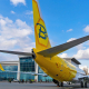 Bees Airline знайшла діру у стратегіях авіагігантів. Фото wings.com.ua