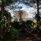 Військові 57-ї бригади працюють з артилерії поблизу Вовчанська, червень 2024 року /Getty Images
