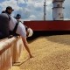 Світові ціни на продовольство у липні зросли після виходу РФ із «зернової угоди» – ФАО /Getty Images