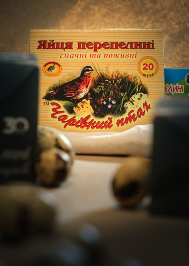 Екосистема успішних. Як підтримка мікропідприємництва у регіонах сприяє розвитку економіки /Фото 11
