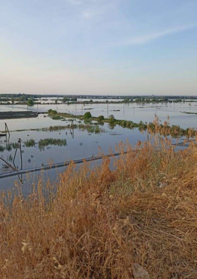 Підрив Каховської ГЕС. Єдиний в Україні державний осетровий завод затоплений: чим це загрожує /Фото 3