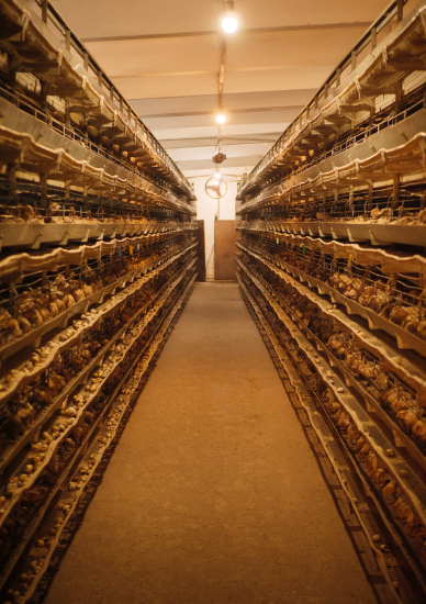 Екосистема успішних. Як підтримка мікропідприємництва у регіонах сприяє розвитку економіки /Фото 9