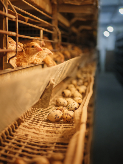 Екосистема успішних. Як підтримка мікропідприємництва у регіонах сприяє розвитку економіки /Фото 10